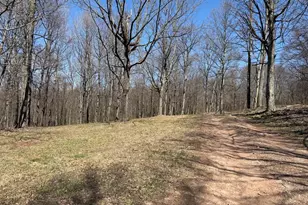 Tract 2: 40+/- Acres Off Of Tooland Rd, Fairhope, PA 15538 - Photo 73