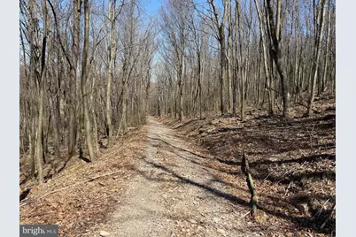 Tract 2: 40+/- Acres Off Of Tooland Rd, Fairhope, PA 15538 - Photo 81