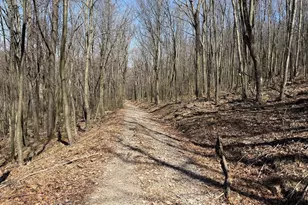Tract 2: 40+/- Acres Off Of Tooland Rd, Fairhope, PA 15538 - Photo 81