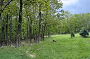 Tract 1: 2 76+/- Acres At 230 Grandview Dr, Hyndman, PA 15545 - Photo 33