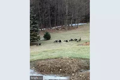 Tract 1: 2.76+/- Acres At 230 Grandview Dr, Hyndman, PA 15545 - Photo 43