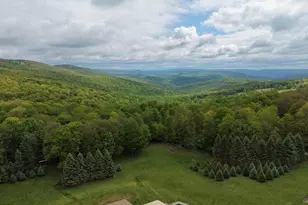 Tract 1: 2 76+/- Acres At 230 Grandview Dr, Hyndman, PA 15545 - Photo 7