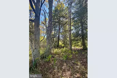 1362 Coleman Station Road, Friedens, PA 15541 - Photo 23