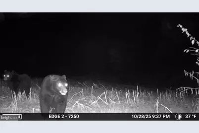 139 Rainbow Drive, Middleburg, PA 17842 - Photo 51