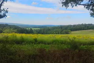 830 Clark Hill Rd, Mount Pleasant Mills, PA 17853 - Photo 11