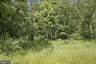 751 Bergey Road, Middleburg, PA 17842 - Photo 49
