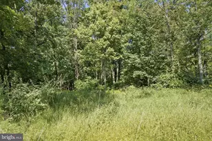 751 Bergey Rd, Middleburg, PA 17842 - Photo 49