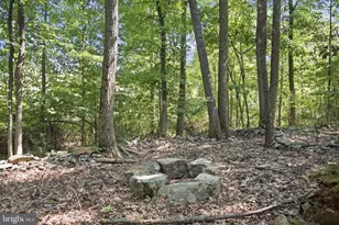 751 Bergey Rd, Middleburg, PA 17842 - Photo 53