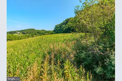00 Bergey Road #PARCEL 2, Middleburg, PA 17842 - Photo 5
