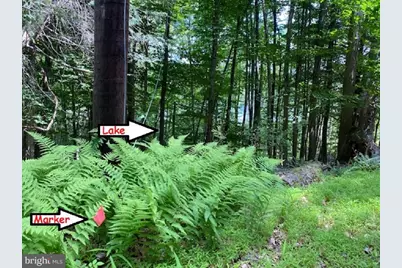 127 Sheridan Road, Hawley, PA 18428 - Photo 3