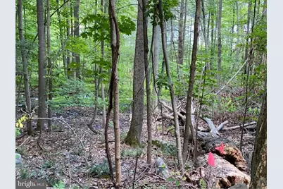 127 Sheridan Road, Hawley, PA 18428 - Photo 5