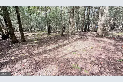 Lot 211-212 Aquaris Ln, Lake Ariel, PA 18436 - Photo 3