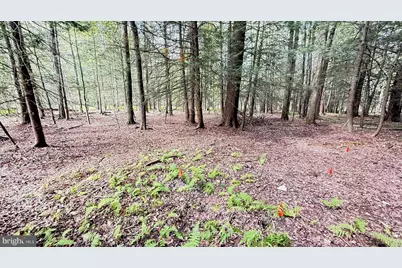 Lot 211-212 Aquaris Ln, Lake Ariel, PA 18436 - Photo 7