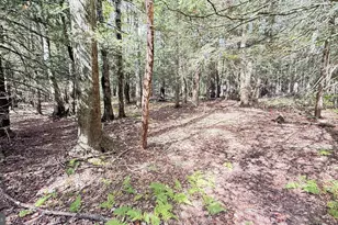 Lot 211-212 Aquaris Ln, Lake Ariel, PA 18436 - Photo 1