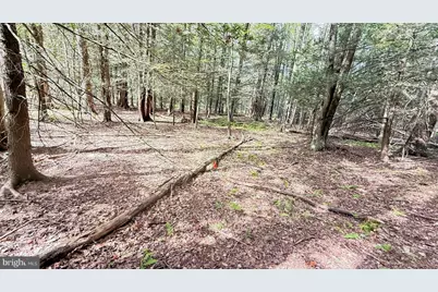 Lot 211-212 Aquaris Ln, Lake Ariel, PA 18436 - Photo 5