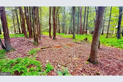 Lot 207 Cygnus Rd, Lake Ariel, PA 18436 - Photo 3
