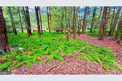 Lot 207 Cygnus Rd, Lake Ariel, PA 18436 - Photo 5
