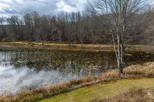 48 Yarnes Rd, Waymart, PA 18472 - Photo 67