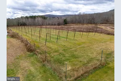 48 Yarnes Rd, Waymart, PA 18472 - Photo 105