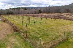 48 Yarnes Rd, Waymart, PA 18472 - Photo 105