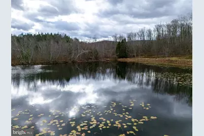 48 Yarnes Rd, Waymart, PA 18472 - Photo 107