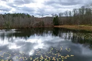 48 Yarnes Rd, Waymart, PA 18472 - Photo 107