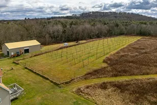 48 Yarnes Rd, Waymart, PA 18472 - Photo 53