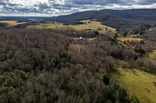 48 Yarnes Rd, Waymart, PA 18472 - Photo 51