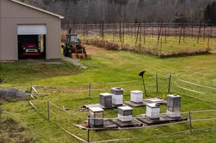 48 Yarnes Rd, Waymart, PA 18472 - Photo 19