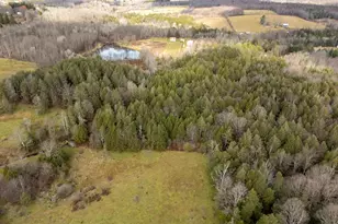 48 Yarnes Rd, Waymart, PA 18472 - Photo 45