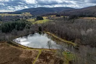 48 Yarnes Rd, Waymart, PA 18472 - Photo 63