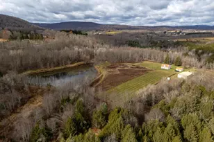 48 Yarnes Rd, Waymart, PA 18472 - Photo 75