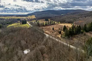 48 Yarnes Rd, Waymart, PA 18472 - Photo 33