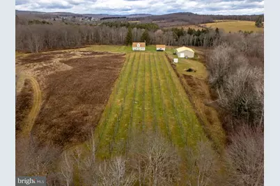 48 Yarnes Rd, Waymart, PA 18472 - Photo 89