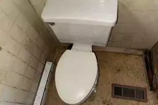 471 Griffith Rd, Tyler Hill, PA 18469 - Photo 11