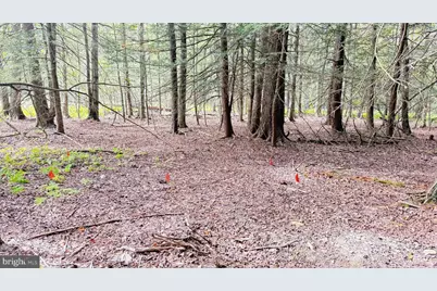 211 Aquaris Ln, Lake Ariel, PA 18436 - Photo 5