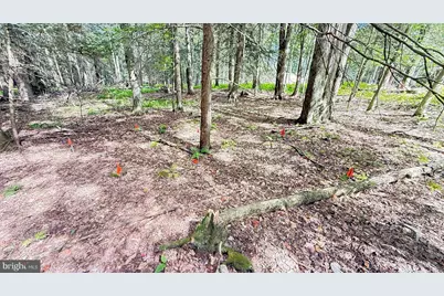 211 Aquaris Ln, Lake Ariel, PA 18436 - Photo 3