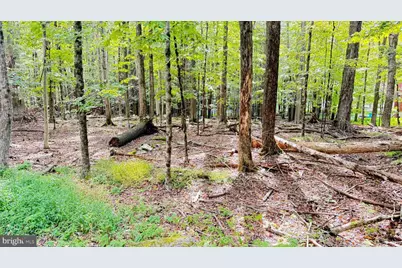 Lot 207 Andromeda Cir, Lake Ariel, PA 18436 - Photo 7