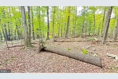 Lot 207 Andromeda Cir, Lake Ariel, PA 18436 - Photo 5