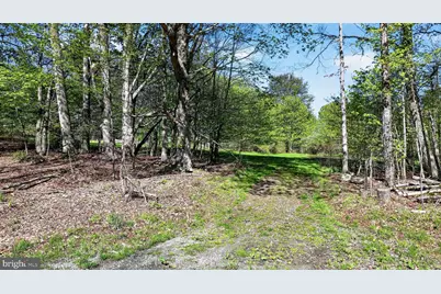 1113 Upper Woods Road, Honesdale, PA 18431 - Photo 55