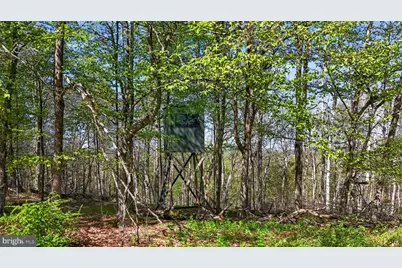 1113 Upper Woods Road, Honesdale, PA 18431 - Photo 19