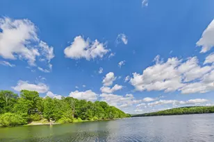 477 Finn Swamp, Lakeville, PA 18438 - Photo 19
