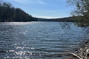 477 Finn Swamp, Lakeville, PA 18438 - Photo 53