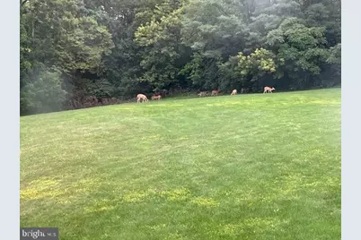 65 Campbell Road, York, PA 17402 - Photo 59