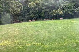 65 Campbell Rd, York, PA 17402 - Photo 59