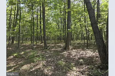 Lot Cold Springs Road, Dillsburg, PA 17019 - Photo 3