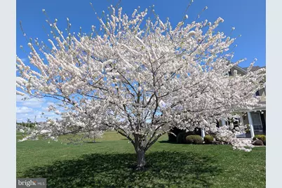 5 Turnout Lane, Etters, PA 17319 - Photo 73