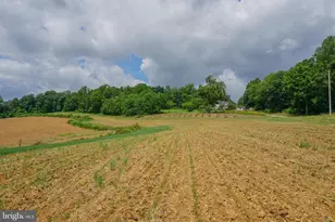 4815 Zeiglers Church Rd, Spring Grove, PA 17362 - Photo 121