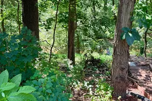 244 Juniper Dr, Etters, PA 17319 - Photo 17