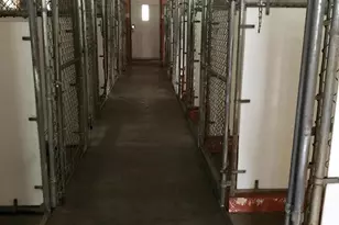 333 Newcomer Rd, Windsor, PA 17366 - Photo 23